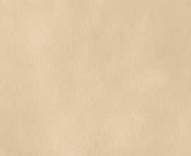 Керамогранит 786005 SensiColore Avorio Glossy 5,7x23,2