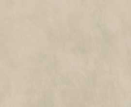 Керамогранит 778890 Essential Mood Warm Powder 02 6mm 120x120