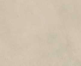 Керамогранит 778899 Essential Mood Warm Powder 02 6mm 60x120
