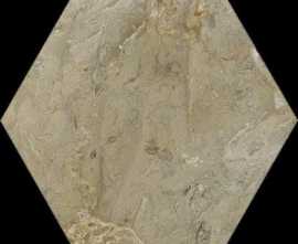 Керамогранит PJF-ELSPT-002-BXMY 6 Corner Desert Grey 7.2x7.2