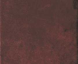 Керамогранит RED CLAY 20X20