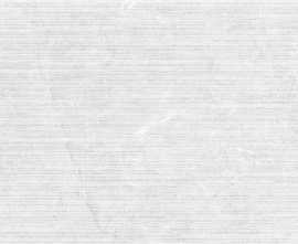 Керамогранит 017.250.0108.15098 Constanza Rlv. White MT Rect 60x120