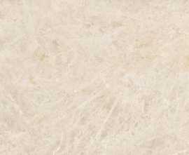 Керамогранит 004.869.0001.14164 Taj Mahal Polished Rect 60x120