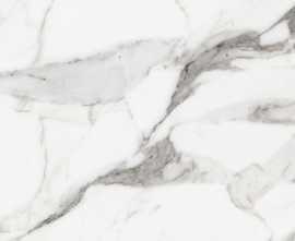 Керамогранит 769855 Les Origines De Rex Argent Matte Rett 60x120