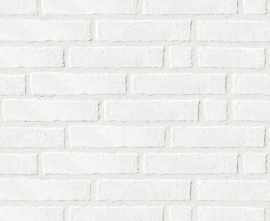 Керамогранит 1039890 White Line 8,6*35