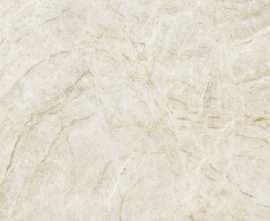 Керамогранит Xlight Premium Taj Mahal Polised 120x120