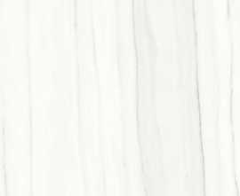 Керамогранит PL612517 Zebrino Bianco Luc 120x60