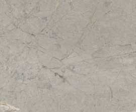 Керамогранит SKA2 Silver Grey Silk RT 120x120