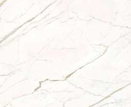 Керамогранит N9A2 Calacatta Statuarietto Lap RT 120x278