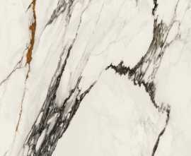 Керамогранит 100331132 Xlight Paonazzo Biondo Polished 120x120