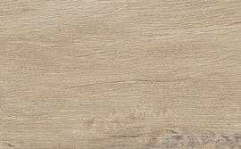 Керамогранит Leccio Gentile 10x40
