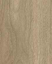 Керамогранит 610010004068 Bormio Honey Ret 20x120