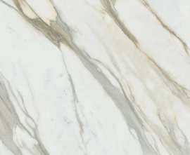Керамогранит AGO9 CP02 Cosmopolitan Calacatta Gold LUC SQ 120x120