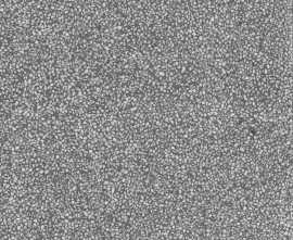 Керамогранит 4CE5 Portofino-SPR Grafito 120x120
