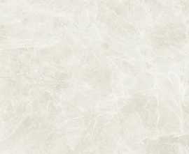 Керамогранит C221100721 Xlight Ars Beige Nature 120x120