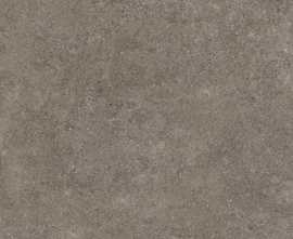 Керамогранит 80PF24E Porfido Brown 5.6mm 60x120