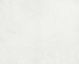 Керамогранит 4100521 White 15x15