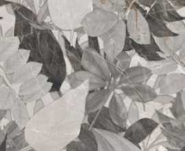 Керамогранит 12GNDEC02RET Genesis Decoro Flora Cold Rett R10 60х120