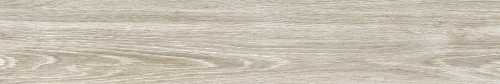 Керамогранит AB 1169W Forest Essenze Grey 1200x200