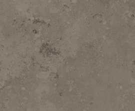 Керамогранит Limestone Brown Mat 60x60