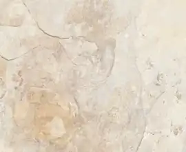 Керамогранит Кер гр ARDESIA ALMOND 32x62.5