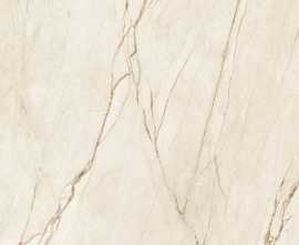 Керамогранит 36C770R Canela Roma Beige 120x120