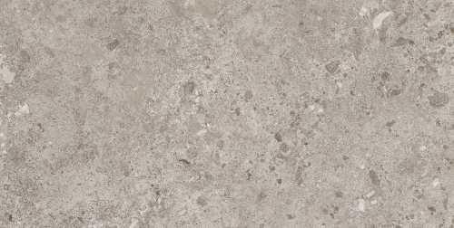 Керамогранит 44BZP39 Bierzo Gris Seda 60х120