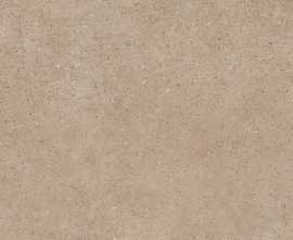 Керамогранит 44NG29R Tierra 60x120