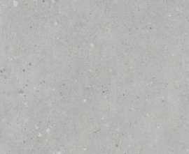 Керамогранит K947893R0001VTER Серый Матовый R10A Ректификат 60x120