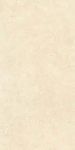 Керамогранит K948598R0001VTER SandStone Песочный Матовый R10A Ректификат 60х120