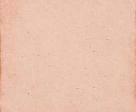 Керамогранит 24388 Art Nouveau Coral Pink 20x20