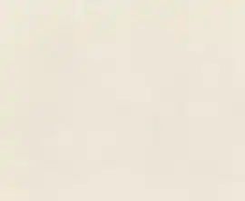 Керамогранит RA59 Decora Bianco Rett 60x120