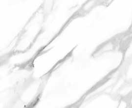 Керамогранит Anna Elegant / Анна Элегант LLR 60x60