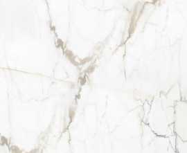 Керамогранит Pallisandro Oro / Паллисандро оро SR 120x60
