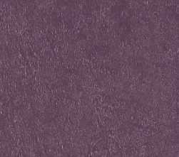 Керамогранит Scs Spectra Wine Glossy 5,8х25