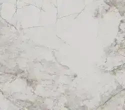 Керамогранит TP612M010 Лефрой матовый 60x120