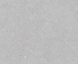Керамогранит Stx Fossil Dove 59,8х119,8