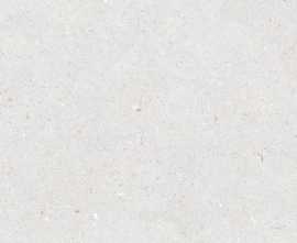 Керамогранит Stx Fossil Bianco 59,8х119,8