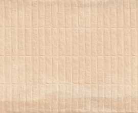 Керамогранит Stx Frt Cotta Peach 59,8х119,8