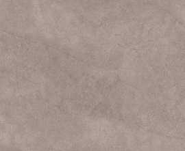 Керамогранит Aster Tan Fullbody Carving 60x120