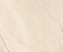 Керамогранит TREX6 120W RM White 120x120