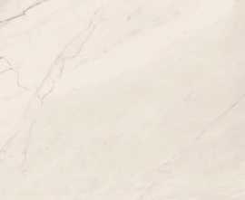 Керамогранит TREX6 260W RM White 120x260
