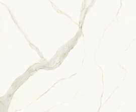 Керамогранит LAMF0M0259_IT I Naturali Calacatta Michelangelo B.M. Face A 20+ 1620x3240