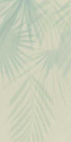 Керамогранит LAMF012162_IT Gemini Flora Luce 2+ 1000x3000