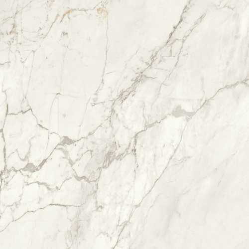 Керамогранит Allure Paonazzetto Glossy 120x120