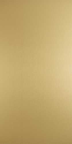 Керамогранит Wonderwall Golden Slab Natural 3.5 mm 50x100