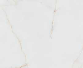 Керамогранит Gelsa Oro Matt 60x120
