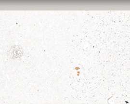 Керамогранит G-40/AMR/p01 Granella White 76x600x9