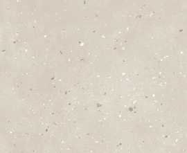Керамогранит G-43/MR Granella Бежевый 300x600x9