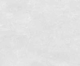 Керамогранит TRENTO BLANCO rect. lapp. 60x120